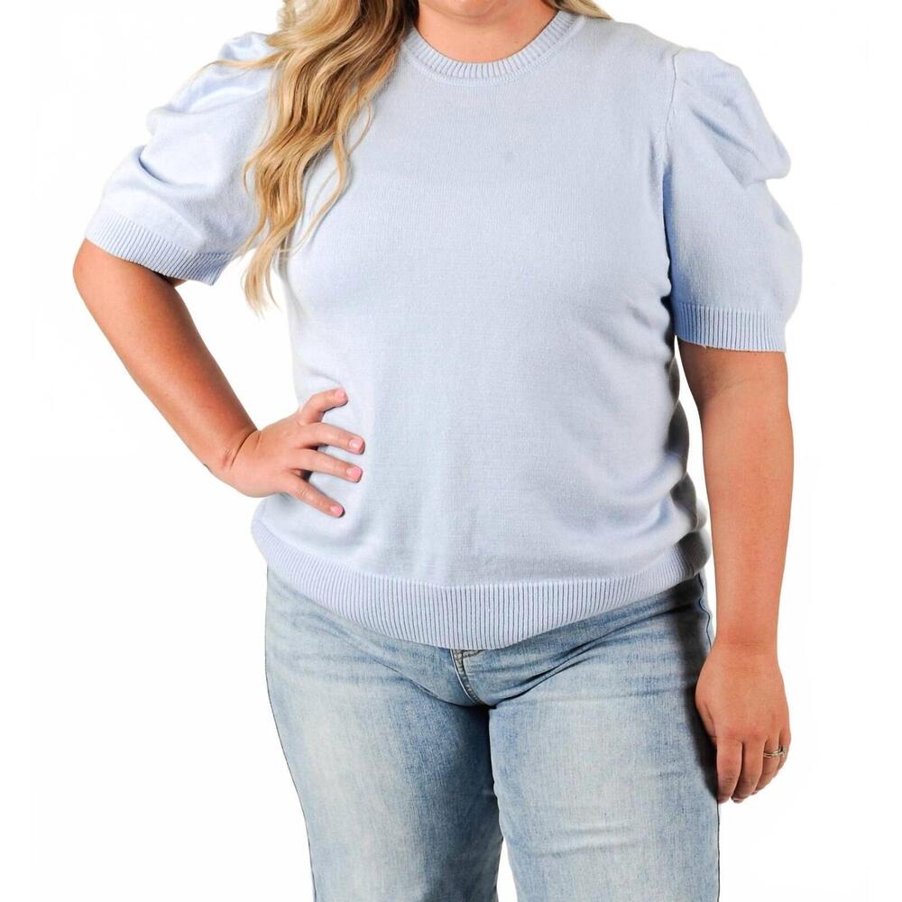 NEW SHE + SKY meadow knit short sleeve sweater - plus in blue